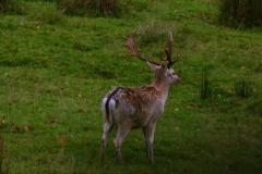 LymePark_0233