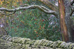 LymePark_0255