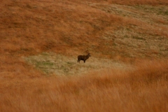 LymePark_0262