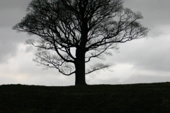 LymePark_0287