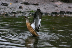 MartinMere2_0055