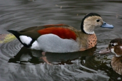 MartinMere2_0183