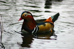 MartinMere2_0256