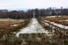 Snowy_Lyme_Park0661