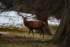 Fountains_Abbey_0281
