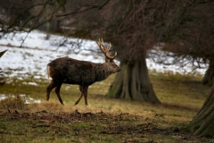 Fountains_Abbey_0395