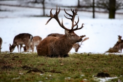 Fountains_Abbey_0476