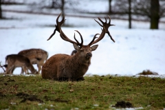 Fountains_Abbey_0612