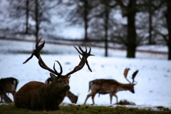 Fountains_Abbey_0653