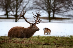 Fountains_Abbey_0723