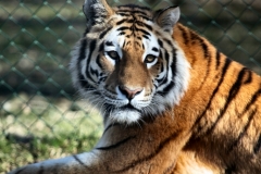 Longleat_Day2_0674