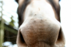 SouthLakesWA_0118
