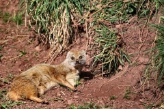 SouthLakes_0440