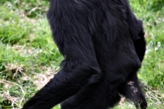 SouthLakes_0794