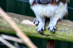 SouthLakes_0923