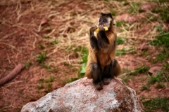 SouthLakes_2195