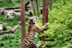 SouthLakes_2767
