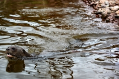SouthLakes_3275
