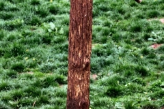 SouthLakes_3653