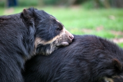 SouthLakes_4151