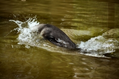 SouthLakes_4291