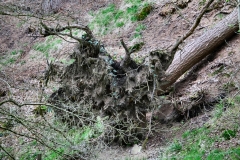 LymeParkAgain_0815