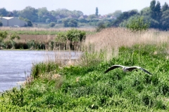 MartinMere_0081