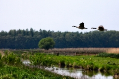 MartinMere_0333