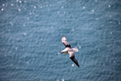 SouthStack_0274