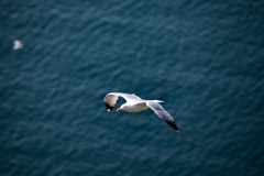 SouthStack_0479