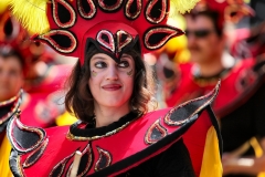ManchesterDayParade_0317