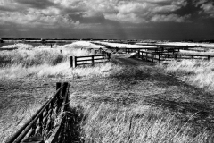 IR-MartinMere6_0058