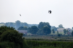 MartinMere6_0176
