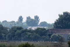 MartinMere6_0194