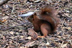 Pensthorpe_1022