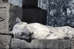 IR-IOW_Zoo_0072