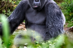 BristolZoo_0902