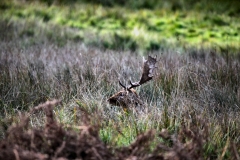 DunhamMassey_0166