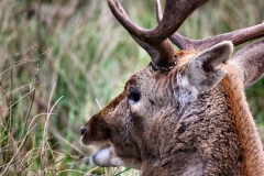 DunhamMassey_0463