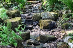 TrenthamGardens_0815