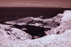 Skomer2__B__0172