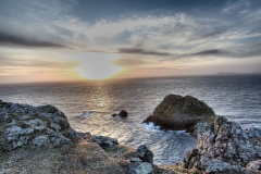 Skomer_Day3_0315_6_7