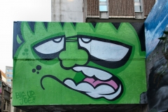 NelsonStreet_0023_pt