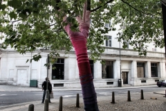 NelsonStreet_0065