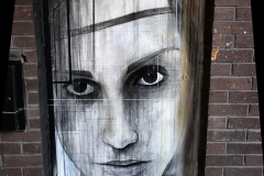 NelsonStreet_0161_pt