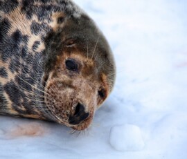 DonnaNook_0198