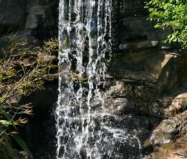 LondonWWT_005