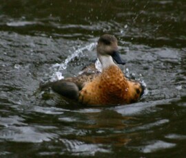 MartinMere2_0041