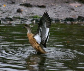 MartinMere2_0055