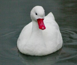 MartinMere2_0177